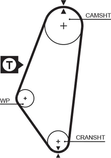 GATES-AU T081 - Cinghia dentata autozon.pro