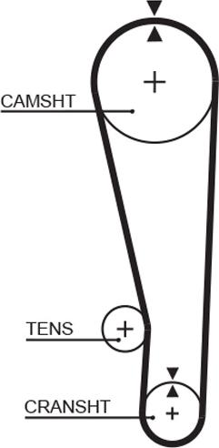 GATES-AU T164 - Cinghia dentata autozon.pro