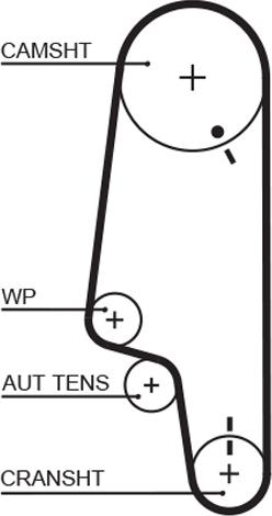 GATES-AU T788 - Cinghia dentata autozon.pro