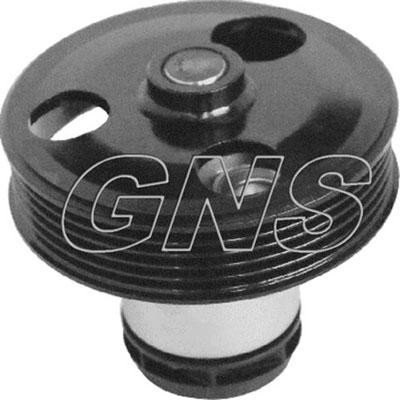 GNS YH-AU154 - Pompa acqua autozon.pro