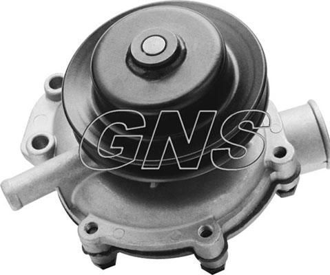 GNS YH-F102 - Pompa acqua autozon.pro