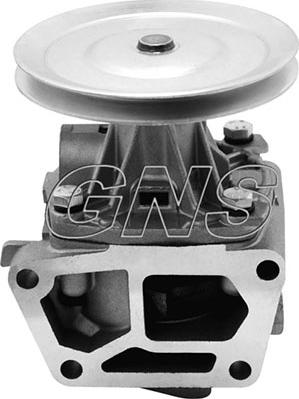 GNS YH-FI135H - Pompa acqua autozon.pro