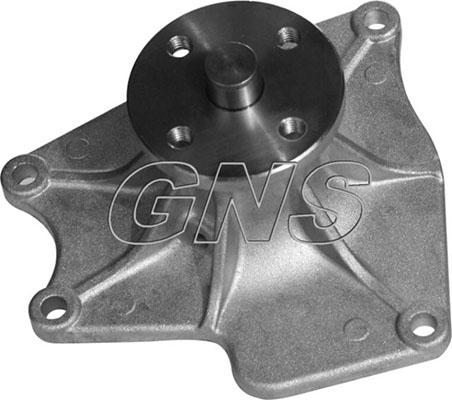 GNS YH-M106-2 - Pompa acqua autozon.pro