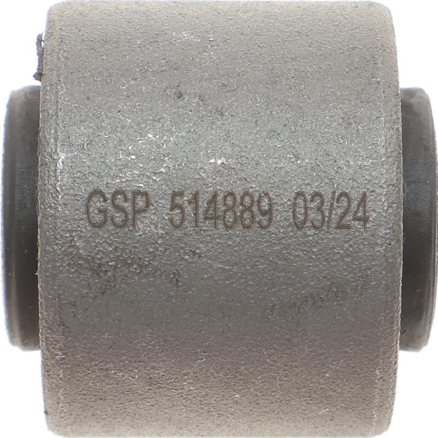 GSP 514889 - Supporto, Braccio oscillante autozon.pro