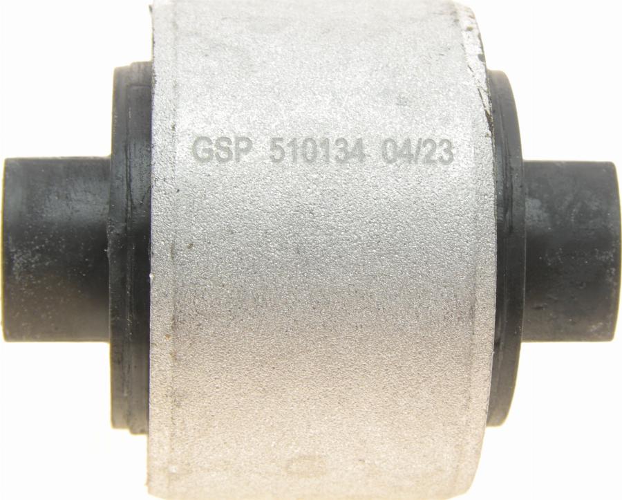 GSP 510134 - Supporto, Braccio oscillante autozon.pro