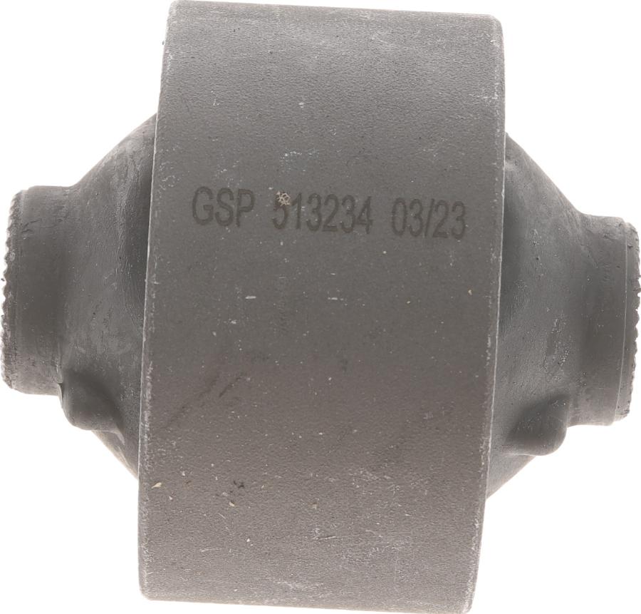 GSP 513234 - Supporto, Braccio oscillante autozon.pro