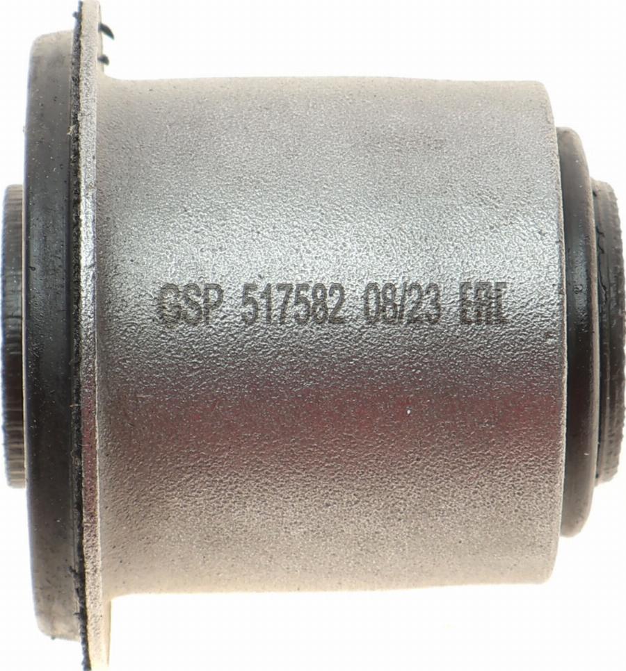 GSP 517582 - Supporto, Braccio oscillante autozon.pro