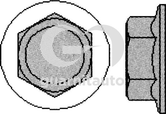 Guarnitauto 700502-1010 - Kit bulloni testata autozon.pro