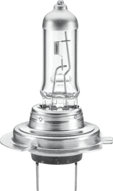 HELLA 8GH 007 157-451 - Lampadina, Faro principale autozon.pro