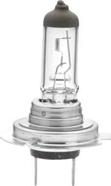 HELLA 8GH 007 157-126 - Lampadina, Faro principale autozon.pro