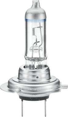 HELLA 8GH 178 560-491 - Lampadina, Faro principale autozon.pro