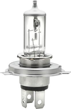 HELLA 8GJ 002 525-898 - Lampadina, Faro principale autozon.pro