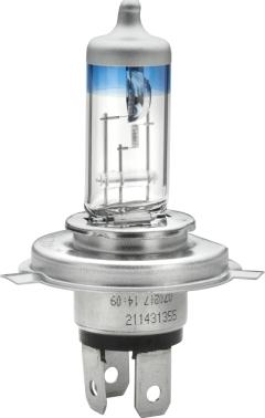 HELLA 8GJ 002 525-366 - Lampadina, Faro principale autozon.pro