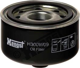 Hengst Filter H300W09 - Filtro olio autozon.pro