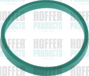 Hoffer 016166 - Guarnizione, Collettore aspirazione autozon.pro