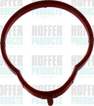 Hoffer 016175 - Guarnizione, Collettore aspirazione autozon.pro