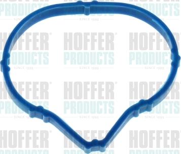 Hoffer 016242 - Guarnizione, Collettore aspirazione autozon.pro