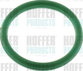 Hoffer 016200 - Guarnizione, Collettore aspirazione autozon.pro