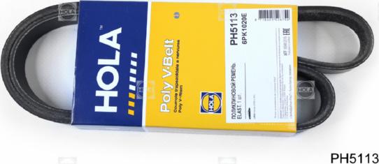 Hola PH5113 - Cinghia Poly-V autozon.pro