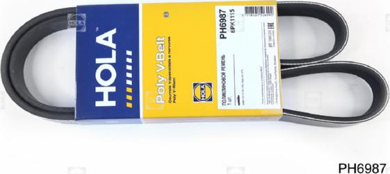 Hola PH6987 - Cinghia Poly-V autozon.pro