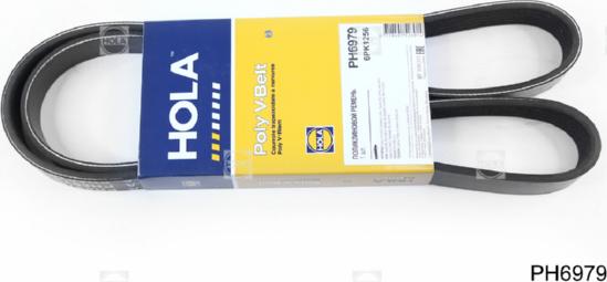 Hola PH6979 - Cinghia Poly-V autozon.pro