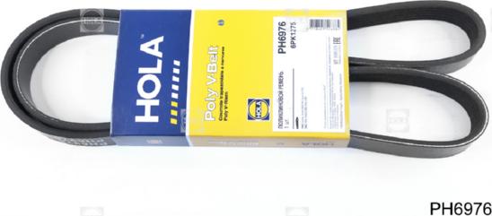 Hola PH6976 - Cinghia Poly-V autozon.pro