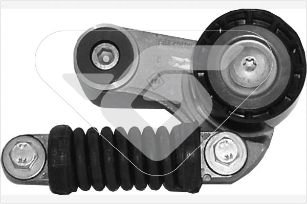 Hutchinson T2013 - Galoppino / Guidacinghia, Cinghia Poly-V autozon.pro