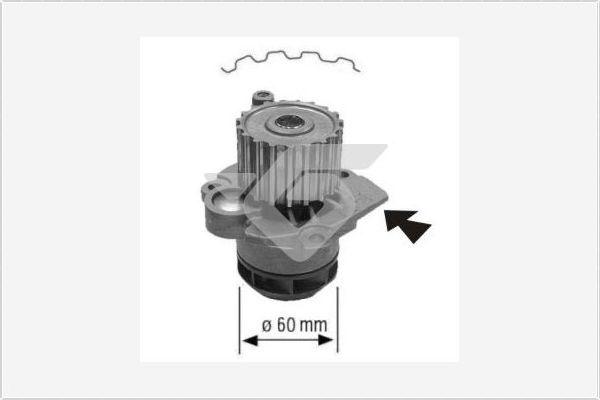 Hutchinson WP58 - Pompa acqua autozon.pro