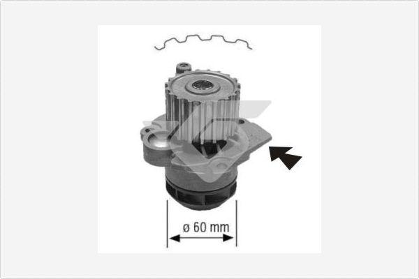 Hutchinson WP0058V - Pompa acqua autozon.pro