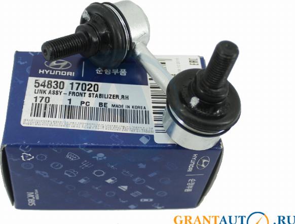 Hyundai 54830-17020 - Asta / Puntone, Stabilizzatore autozon.pro