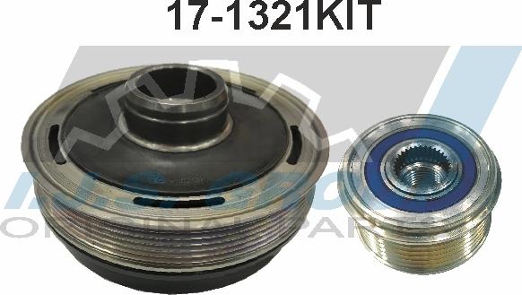 IJS GROUP 17-1321KIT - Puleggia cinghia, Albero a gomiti autozon.pro