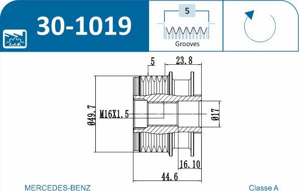 IJS GROUP 30-1019 - Puleggia cinghia, Alternatore autozon.pro