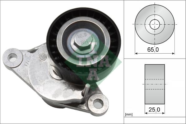 INA 534 0655 10 - Tendicinghia, Cinghia Poly-V autozon.pro