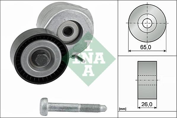 INA 534 0607 10 - Tendicinghia, Cinghia Poly-V autozon.pro