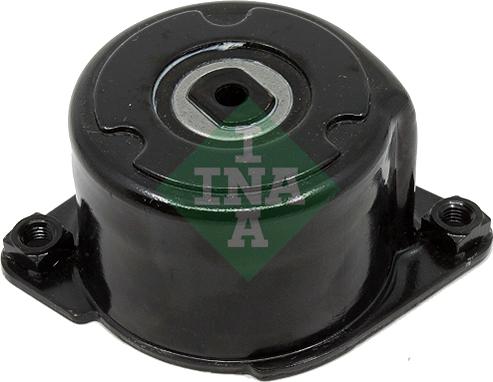 INA 534 0170 10 - Tendicinghia, Cinghia Poly-V autozon.pro