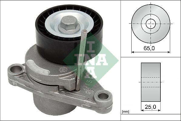 INA 534 0250 10 - Tendicinghia, Cinghia Poly-V autozon.pro