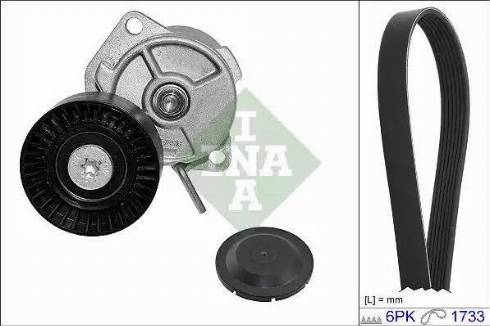 INA 530 0402 10 - Kit Cinghie Poly-V autozon.pro