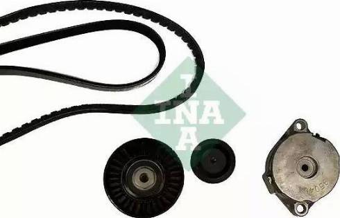 INA 530 0396 10 - Kit Cinghie Poly-V autozon.pro