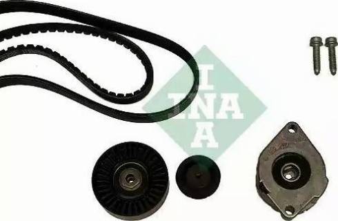 INA 530 0398 10 - Kit Cinghie Poly-V autozon.pro