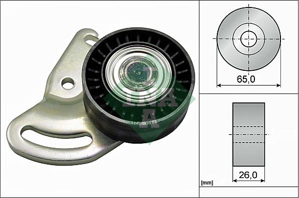 INA 531 0591 30 - Galoppino / Guidacinghia, Cinghia Poly-V autozon.pro