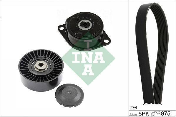 INA 529 0089 10 - Kit Cinghie Poly-V autozon.pro