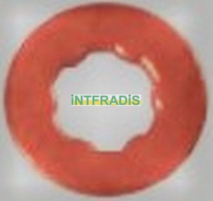 INTFRADIS 10490BL - Piastra termoisolante, Impianto iniezione autozon.pro