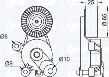 IPD 10-1070 - Tendicinghia, Cinghia Poly-V autozon.pro