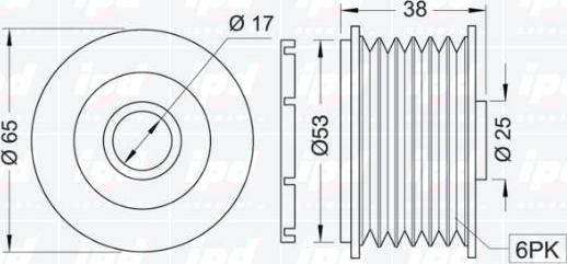 IPD 12-0883 - Puleggia cinghia, Alternatore autozon.pro