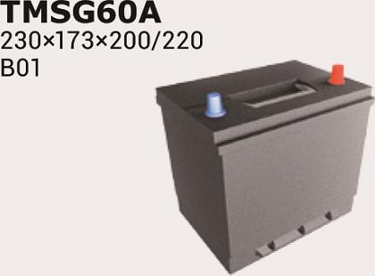 IPSA TMSG65A - Batteria avviamento autozon.pro