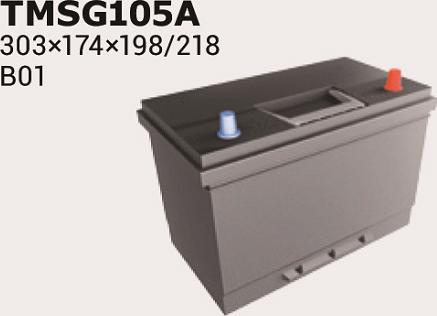 IPSA TMSG105A - Batteria avviamento autozon.pro