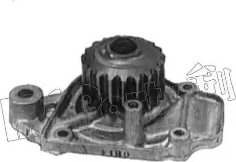 IPS Parts IPW-7419 - Pompa acqua autozon.pro