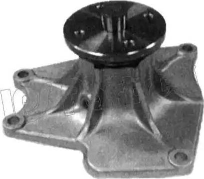 IPS Parts IPW-7596 - Pompa acqua autozon.pro