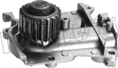 IPS Parts IPW-7309 - Pompa acqua autozon.pro