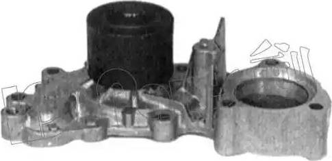 IPS Parts IPW-7247 - Pompa acqua autozon.pro